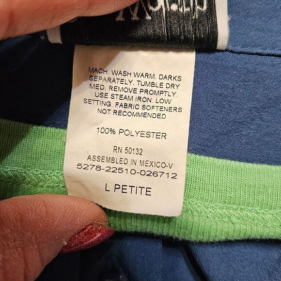 #380 Bonworth Button  Up Royal Blue Embroidered Top- Size: Large (Petites) - Picture 7 of 9